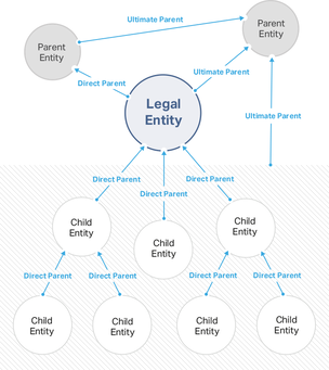 lei-company-structure